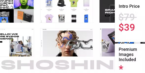 Shoshin - Digital Agency Theme