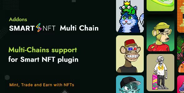 Smart NFT - MultiChain (Addons)