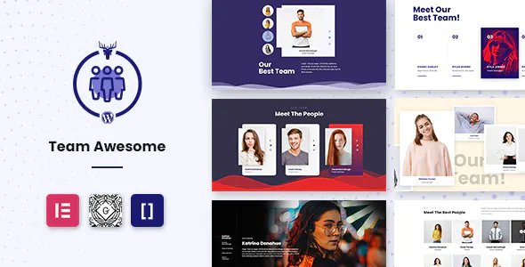 Team Awesome Pro - Team Member Showcase WordPress Plugin