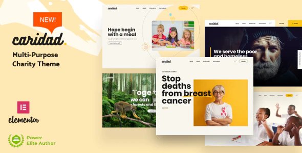 Caridad - Charity and Non-Profit  WordPress